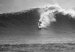 Largest Encyclopedia of Surfing