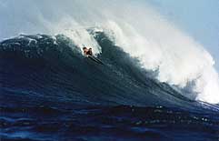 Largest Encyclopedia of Surfing