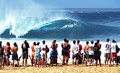 Largest Encyclopedia of Surfing