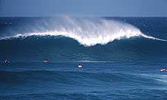 Largest Encyclopedia of Surfing