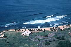 Largest Encyclopedia of Surfing