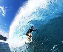 Largest Encyclopedia of Surfing