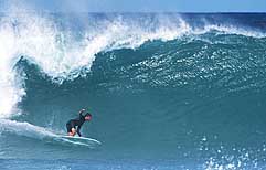 Largest Encyclopedia of Surfing