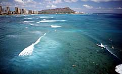 Largest Encyclopedia of Surfing