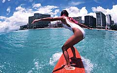 Largest Encyclopedia of Surfing