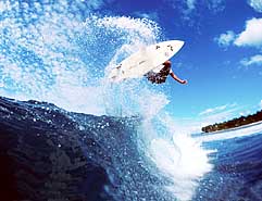 Largest Encyclopedia of Surfing