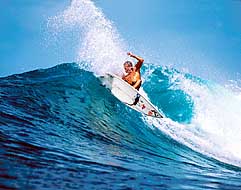 Largest Encyclopedia of Surfing