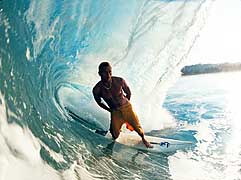 Largest Encyclopedia of Surfing
