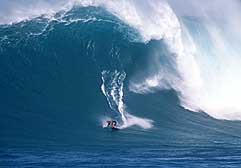 Largest Encyclopedia of Surfing