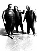 Largest Encyclopedia of Surfing