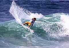 Largest Encyclopedia of Surfing