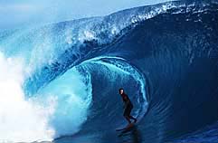 Largest Encyclopedia of Surfing