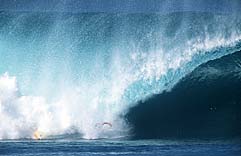 Largest Encyclopedia of Surfing