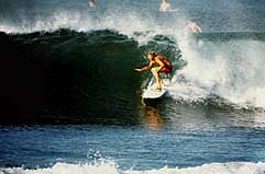 Largest Encyclopedia of Surfing