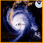 This shot of Iniki may be a bit fuzzy, but Hawaiian residents memories of her destruction are tack sharp. 