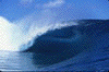 click for full size