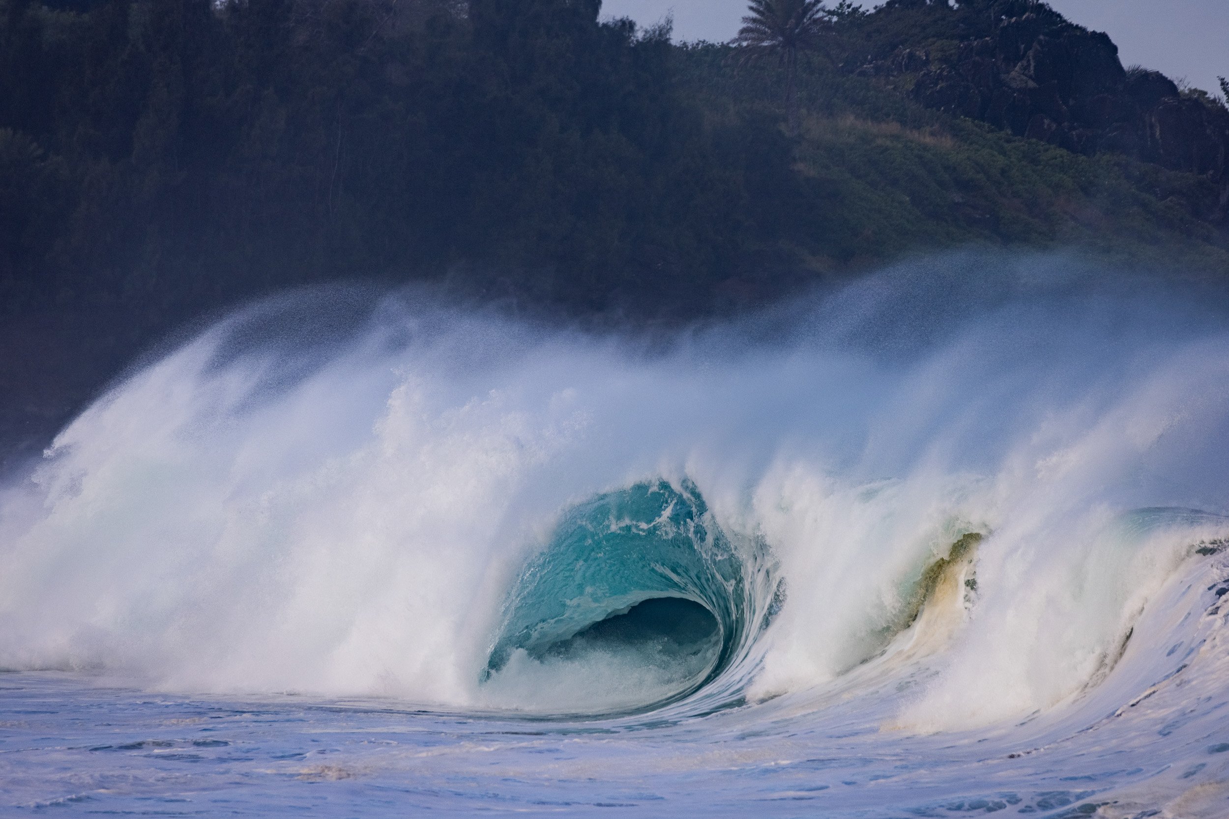 Gallery: Two Decades on the North Shore