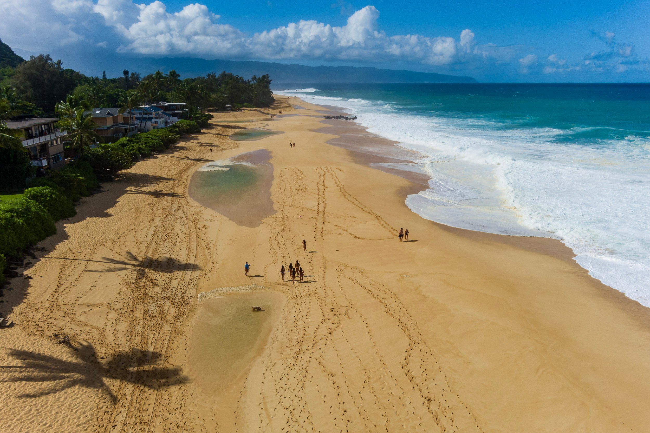 The North Shore's Shifting Sands