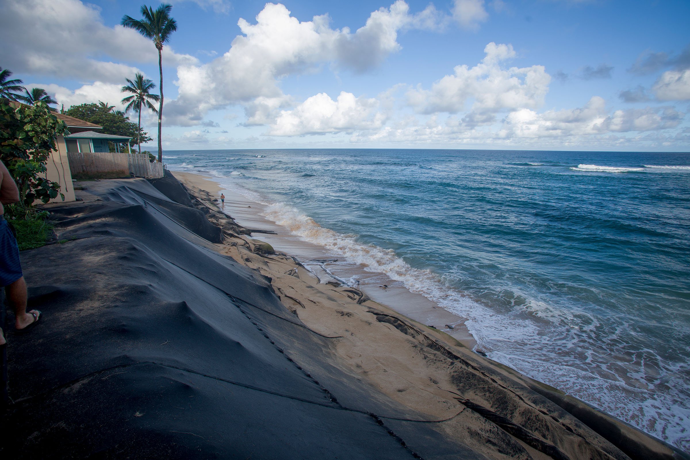The North Shore's Shifting Sands
